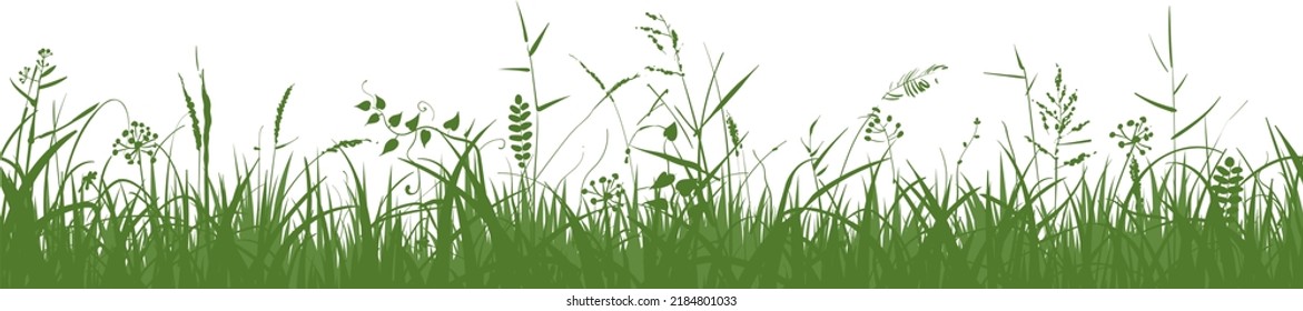 Silhouettes of green grass, spikes and herbs isolated on white background. Seamless border. Hand drawn sketch style vector illustration.