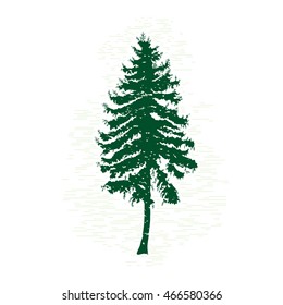 Silhouettes of green pine tree, vector illustration. Vintage textured grunge fir tree design template. Vector illustration.