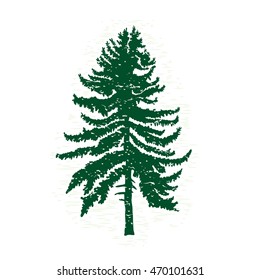 Silhouettes of green pine tree, vector illustration. Vintage textured grunge fir tree design template. Vector illustration.