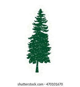 Silhouettes of green pine tree, vector illustration. Vintage textured grunge fir tree design template. Vector illustration.