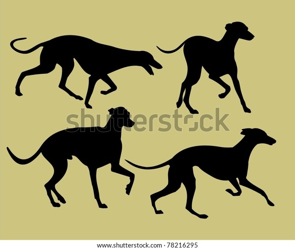 Silhouettes Greyhounds Stock Vector (royalty Free) 78216295