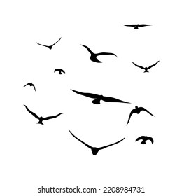 Silhouettes of a group of crows flying together. Isolated on a white background. Great for Halloween and horror themed posters.