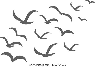 Silhouettes of groups of  birds on white. Vector