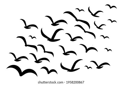 Silhouettes of groups of  birds on white. Vector