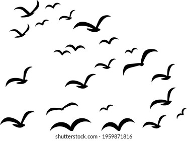Silhouettes of groups of  birds on white. Vector