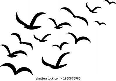 Silhouettes of groups of  birds on white. Vector