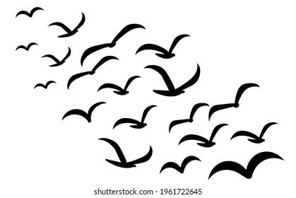 Silhouettes of groups of  birds on white. Vector