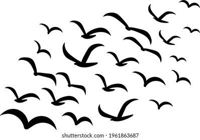 Silhouettes of groups of  birds on white. Vector