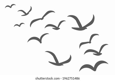 Silhouettes of groups of  birds on white. Vector