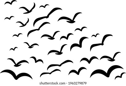 Silhouettes of groups of  birds on white. Vector