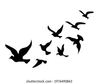 Silhouettes of groups of  birds on white. Vector
