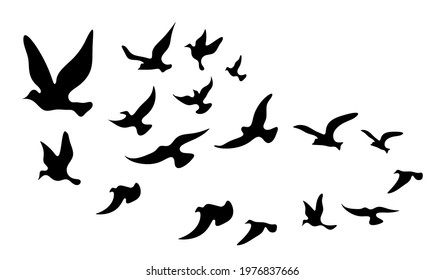 Silhouettes of groups of  birds on white. Vector