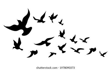 Silhouettes of groups of  birds on white. Vector