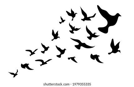 Silhouettes of groups of  birds on white. Vector