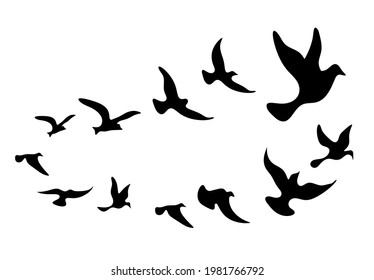 Silhouettes of groups of  birds on white. Vector