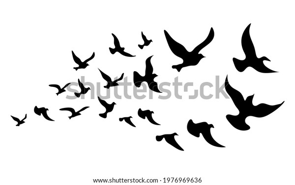 Silhouettes Groups Birds On White Vector Stock Vector (Royalty Free ...