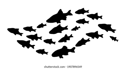 Silhouettes of groups of  fishes on white. Vector