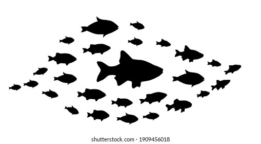 Silhouettes of groups of  fishes on white. Vector