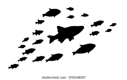 Silhouettes of groups of  fishes on white. Vector