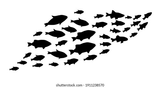 Silhouettes of groups of  fishes on white. Vector