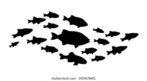 魚 群 綺麗 のイラスト素材 画像 ベクター画像 Shutterstock