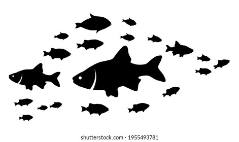 Silhouettes of groups of  fishes on white. Vector