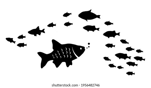 Silhouettes of groups of  fishes on white. Vector