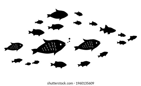 Silhouettes of groups of  fishes on white. Vector