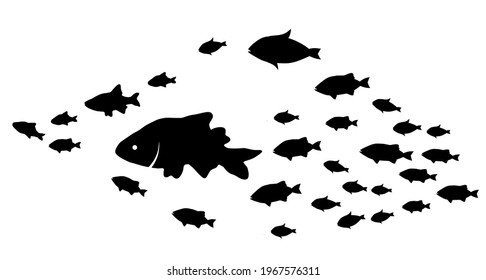 Silhouettes of groups of  fishes on white. Vector
