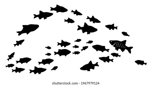 Silhouettes of groups of  fishes on white. Vector