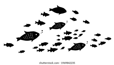 Silhouettes of groups of  fishes on white. Vector
