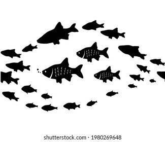 Silhouettes of groups of  fishes on white. Seamless background. Vector
