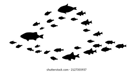 Silhouettes of groups of  fishes on white. Vector