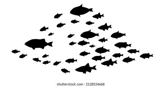 Silhouettes of groups of  fishes on white. Vector