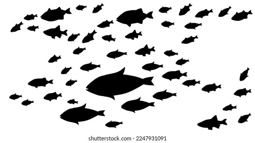 Silhouettes of groups of  fishes on white. Vector