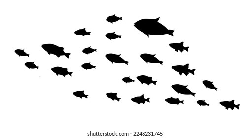 Silhouettes of groups of  fishes on white. Vector