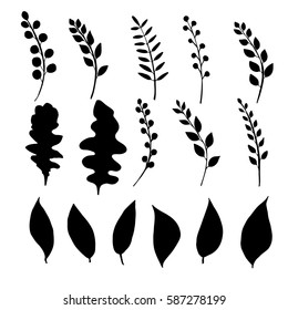 Silhouettes of hand drawn twigs, branches, leaves. Set of botanical elements made by ink drawing. Plants isolated on white. Vector illustration. Decorative elements.