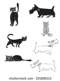 Silhouettes of hand drawn in vector dogs and cats on white