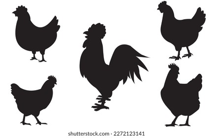 Silhouettes of hen chicken. vector Illustration
