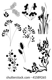 Silhouettes of herbs and flowers