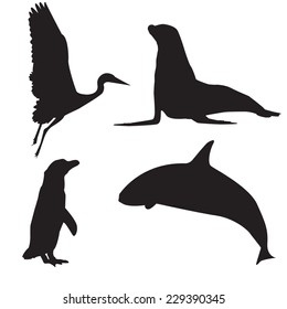 Silhouettes of heron, penguin, whale and seal
