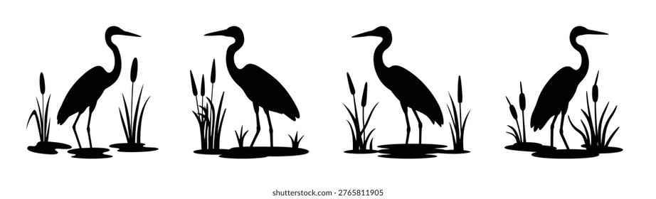 Silhouettes of herons standing in water with cattails and reeds