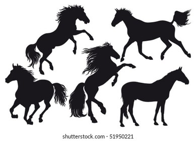 silhouettes of horse