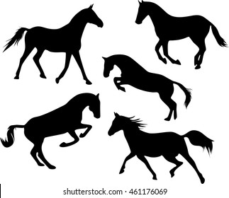 Silhouettes of horses