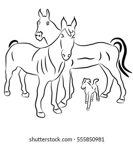 Silhouettes of horses and a calf. Family. Vector illustration