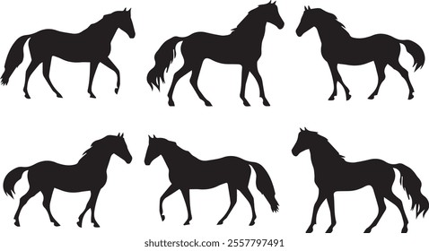 silhouettes of horses isolated on transparent background. Horses in Pasture Silhouettes