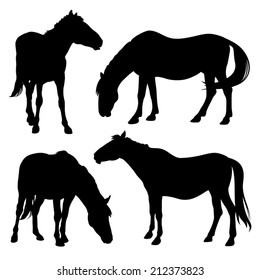 Silhouettes of horses isolated on a white background