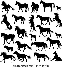 Silhouettes of horses on white background