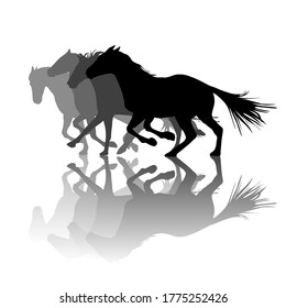 Silhouettes of horses with shadows running 