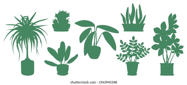 Silhouettes of indoor plants. Potted flowers. Vector set on an isolated background. Hand-drawn drawings can become elements of interior sketches, backgrounds, graphic decor, and stickers.